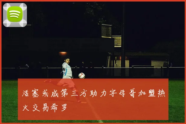 活塞或成第三方助力字母哥加盟热火交易希罗