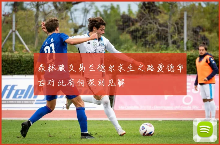 森林狼交易兰德尔求生之路爱德华兹对此有何深刻见解