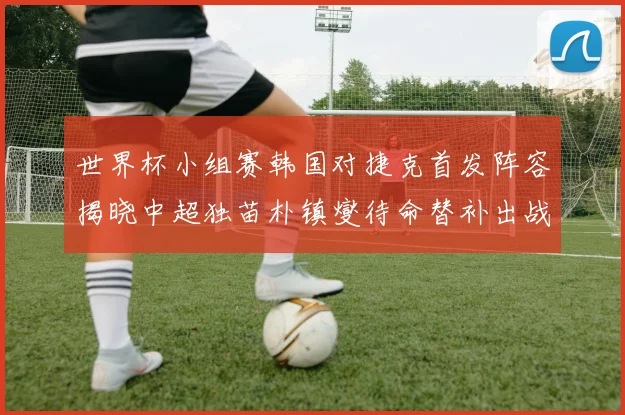 世界杯小组赛韩国对捷克首发阵容揭晓中超独苗朴镇燮待命替补出战